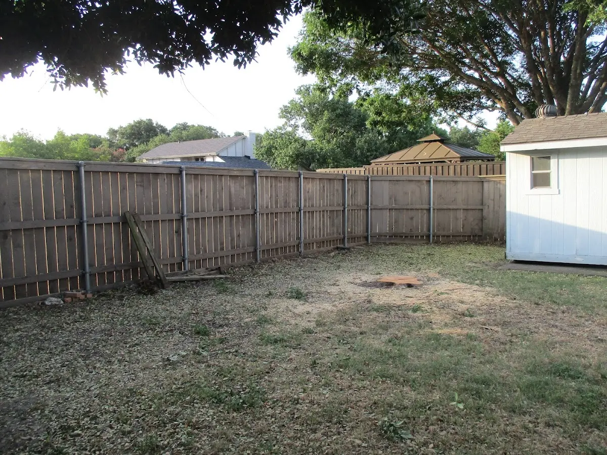 Cleared yard after professional tree removal in Alamo